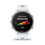Garmin Forerunner 170 Music Whitestone/Cloud Blue 010-03920-11