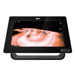 Traceur de cartes Raymarine Axiom + RV 9" RealVision