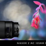 Nikon NIKKOR Z MC 105mm F/2.8 VR S Macro Lens