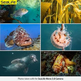 Sealife Micro 3.0 Underwater Camera SL550