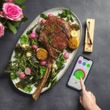 Meater Plus Wireless Smart Meat Thermometer Stainless Steel